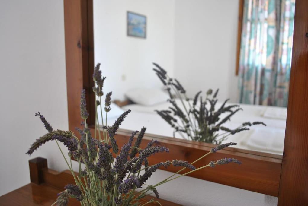Antigoni Apartments 'Lavender Room' Milatos Exterior photo