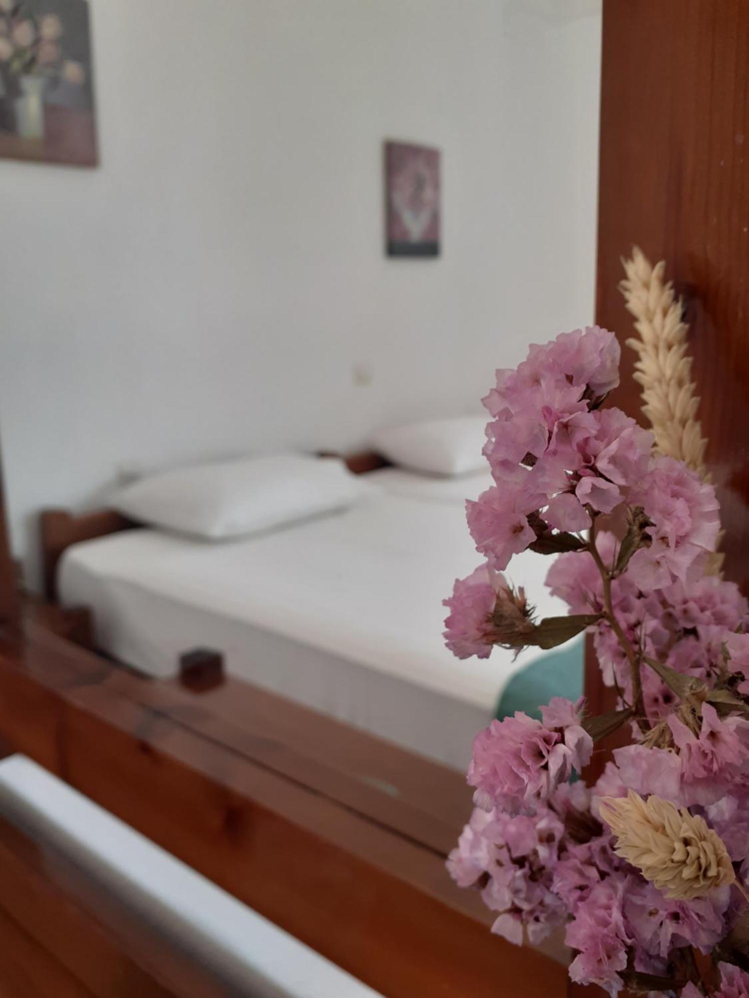 Antigoni Apartments 'Lavender Room' Milatos Exterior photo