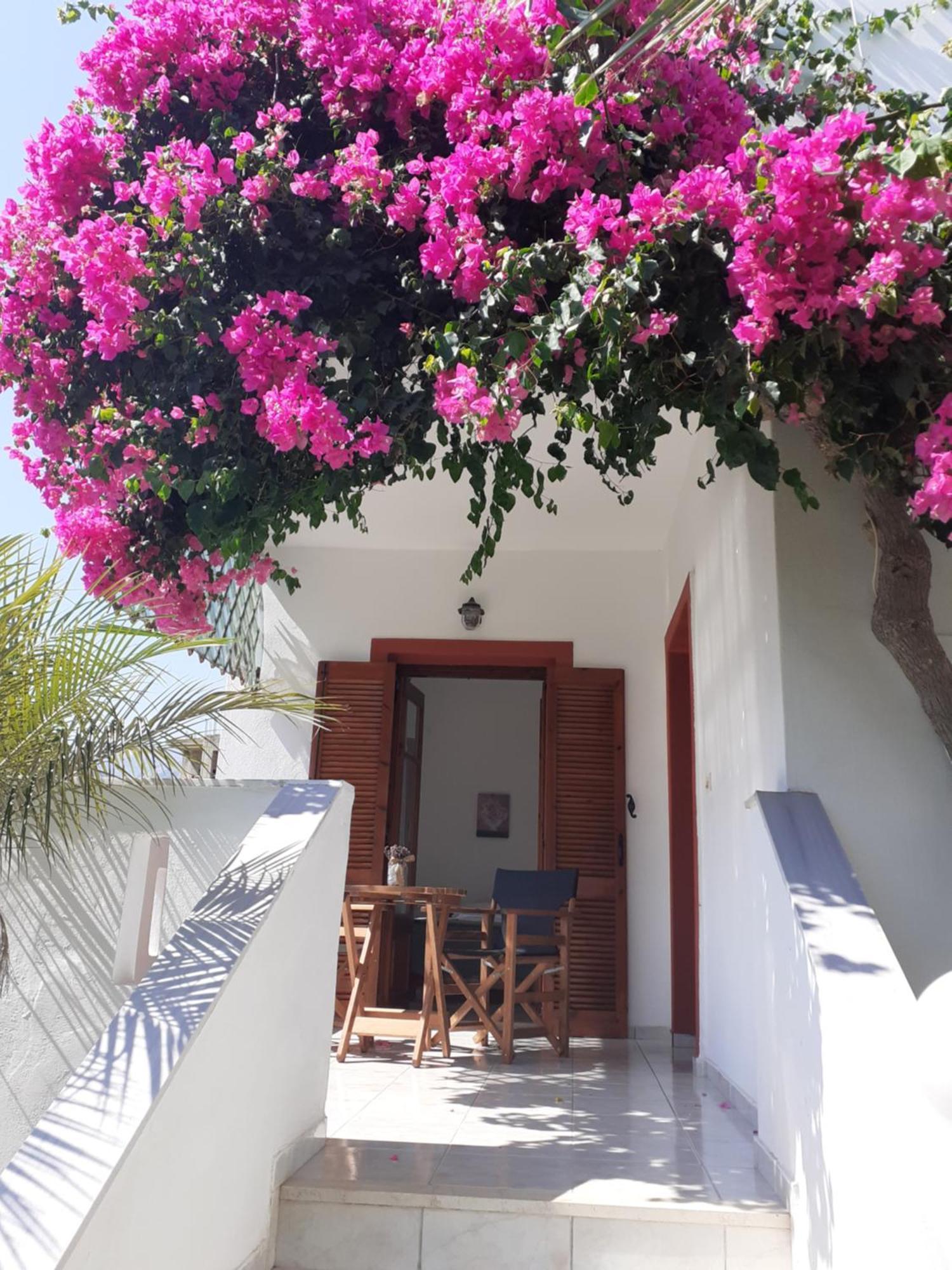 Antigoni Apartments 'Lavender Room' Milatos Exterior photo